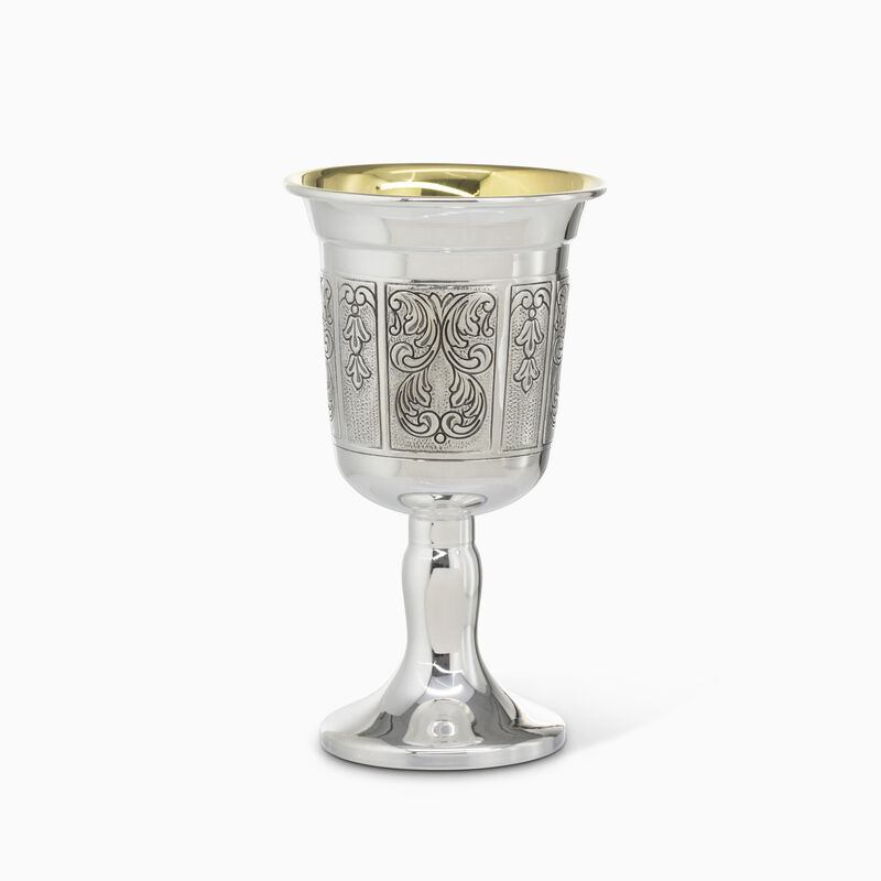 ELCANT REVIIT CUP ON LEG