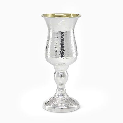 Hammering Delicate Small Eliyahu Pesach Cup 