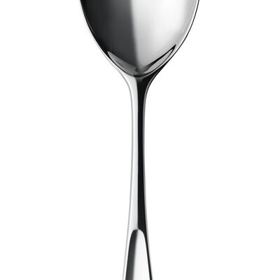 Vivm Serving Spoon 