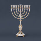 Carlos Golden Menorah Legacy 