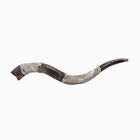 Jerusalem Jumbo Shofar Silver-Plated 
