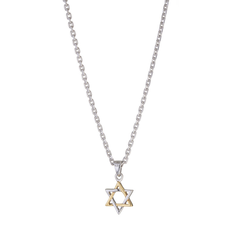 Star of David Pendant Silver & Gold
