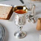 LINIA ELIYAHU CUP S PLATED 