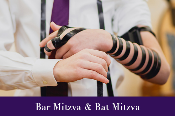 banner-image